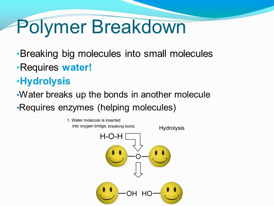 Polymer Breakdown Breaking big molecules into small molecules