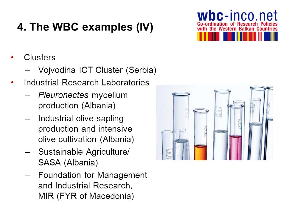 4. The WBC examples (IV) Clusters Vojvodina ICT Cluster (Serbia)