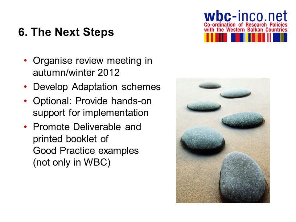 6. The Next Steps Organise review meeting in autumn/winter 2012