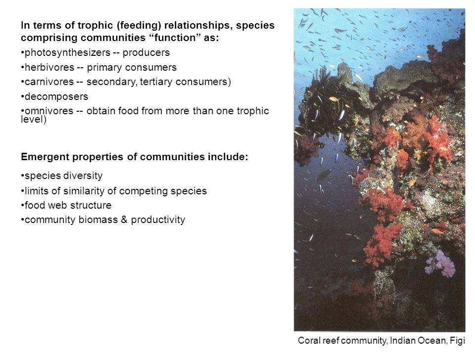 Community Ecology A community is an assemblage of species’ populations