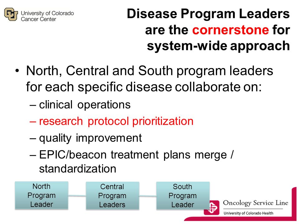 Disease Program Leaders are the cornerstone for system-wide approach