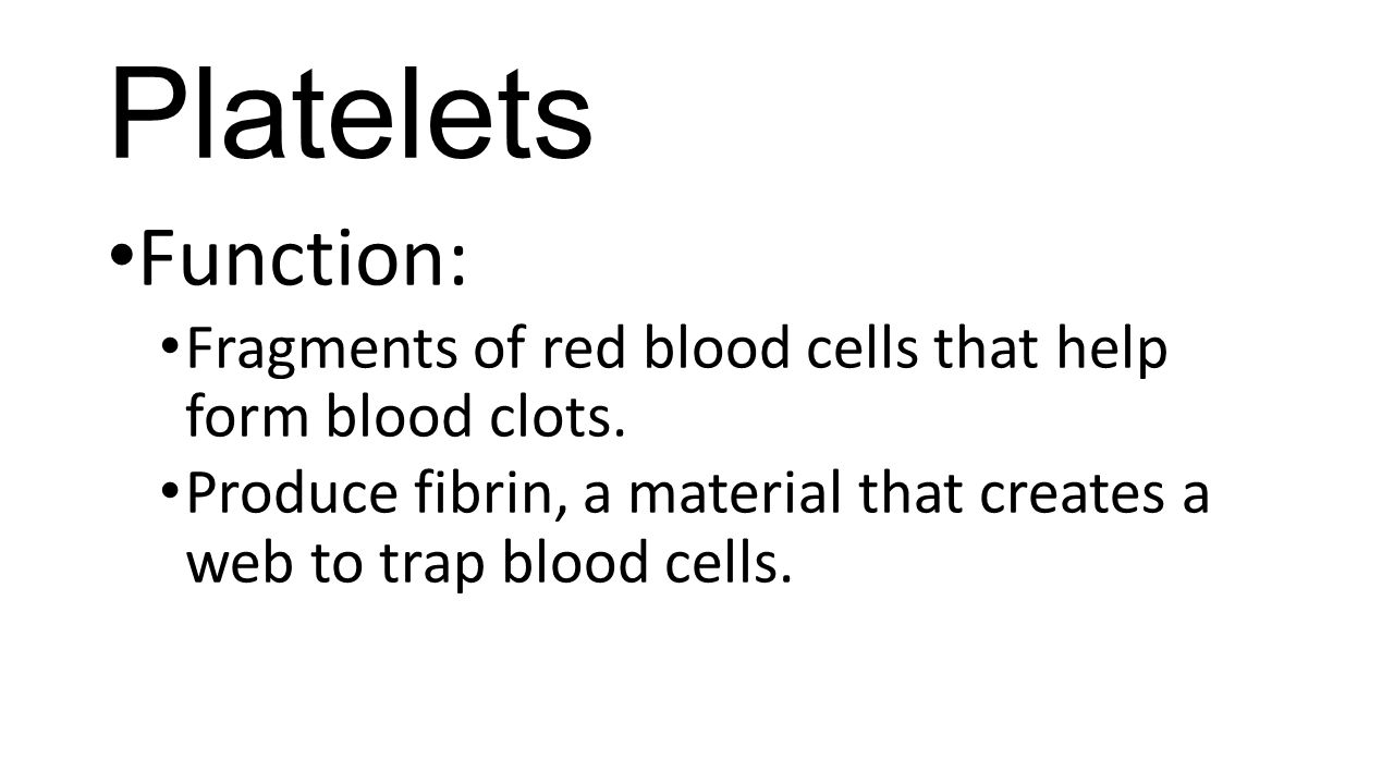 Platelets Function: Fragments of red blood cells that help form blood clots.