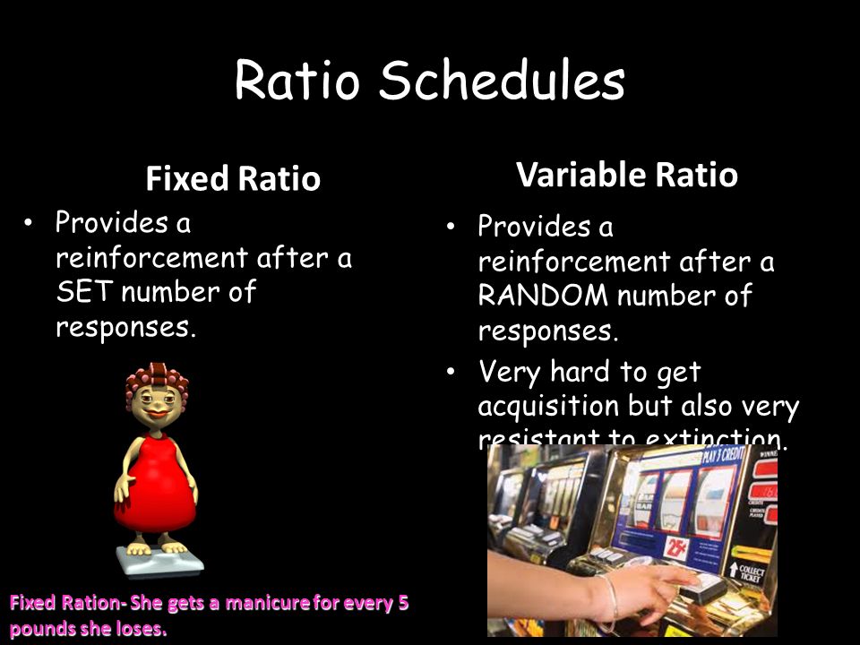 Ratio Schedules Variable Ratio Fixed Ratio