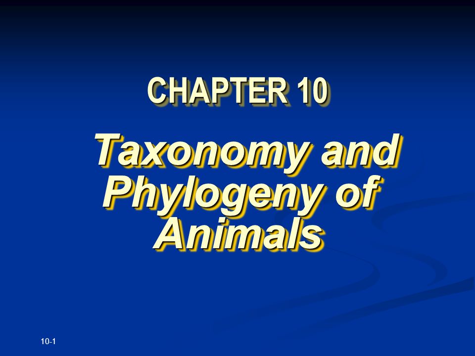 Taxonomy and Phylogeny of Animals - ppt download