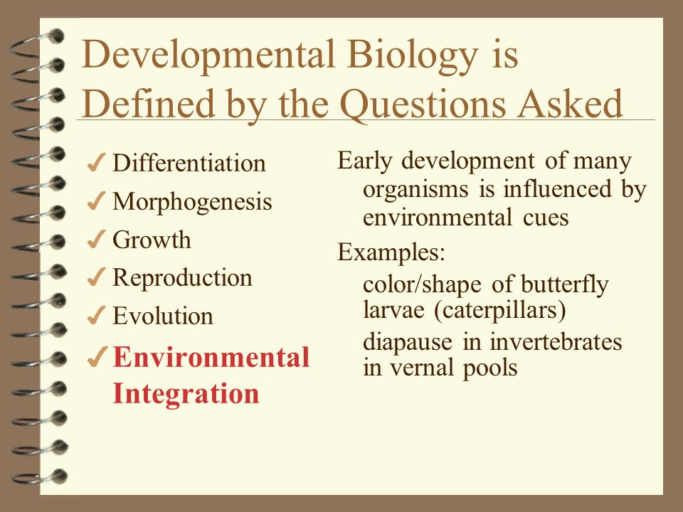Developmental Biology is Defined by the Questions Asked