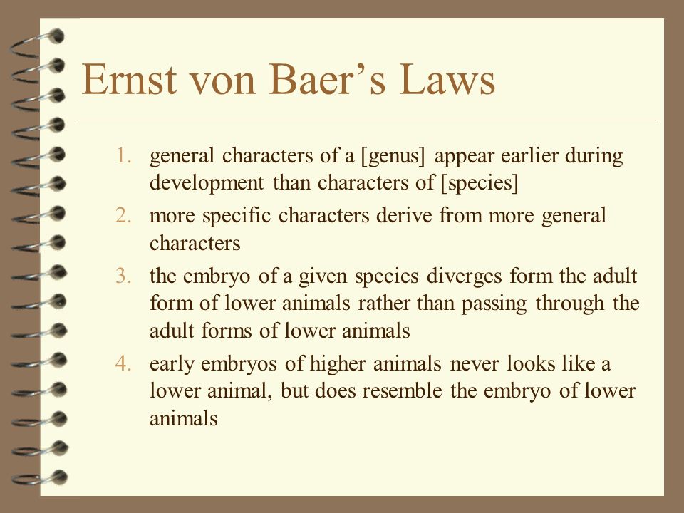 Ernst von Baer’s Laws general characters of a [genus] appear earlier during development than characters of [species]