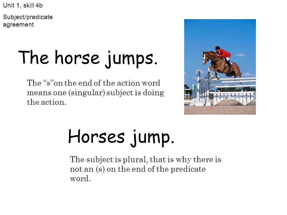 The horse jumps. Horses jump.