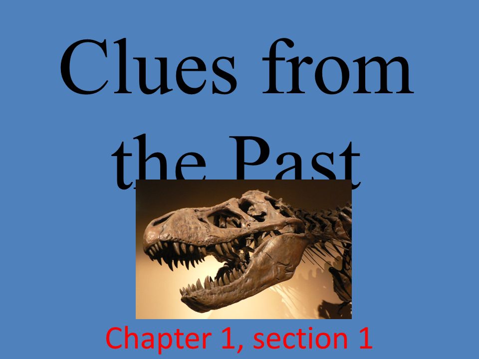 Clues from the Past Chapter 1, section 1