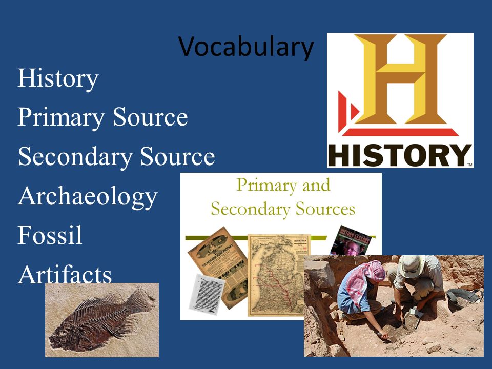 Vocabulary History Primary Source Secondary Source Archaeology Fossil Artifacts