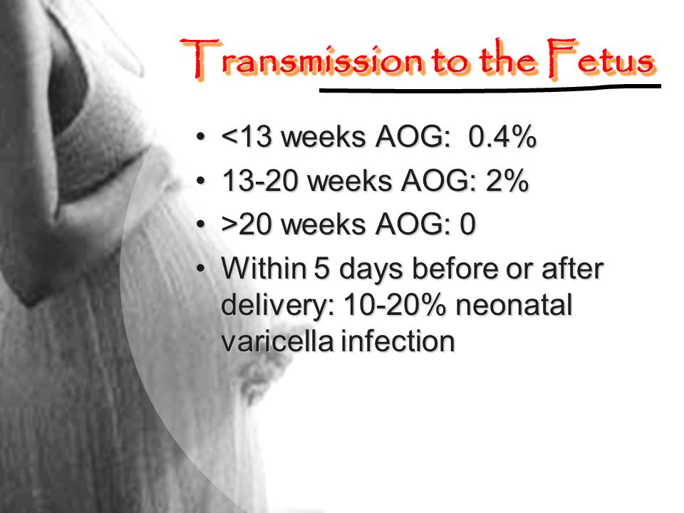Transmission to the Fetus