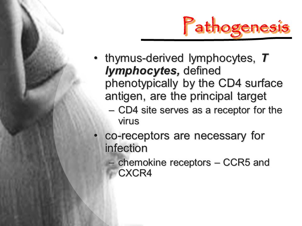 Pathogenesis thymus-derived lymphocytes, T lymphocytes, defined phenotypically by the CD4 surface antigen, are the principal target.