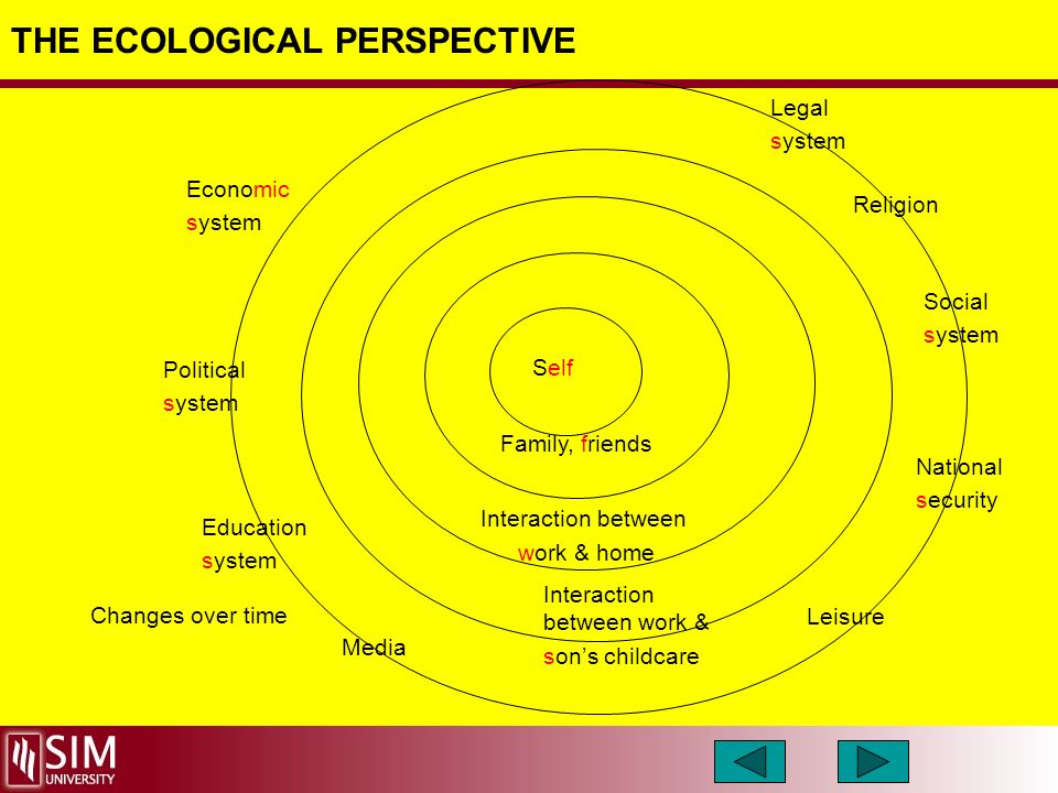Person in environment social work diagram