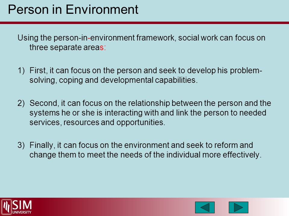 person in environment theory