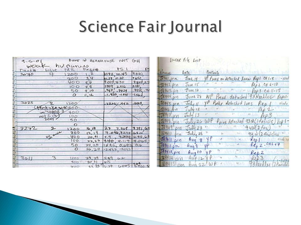 Science Fair Journal