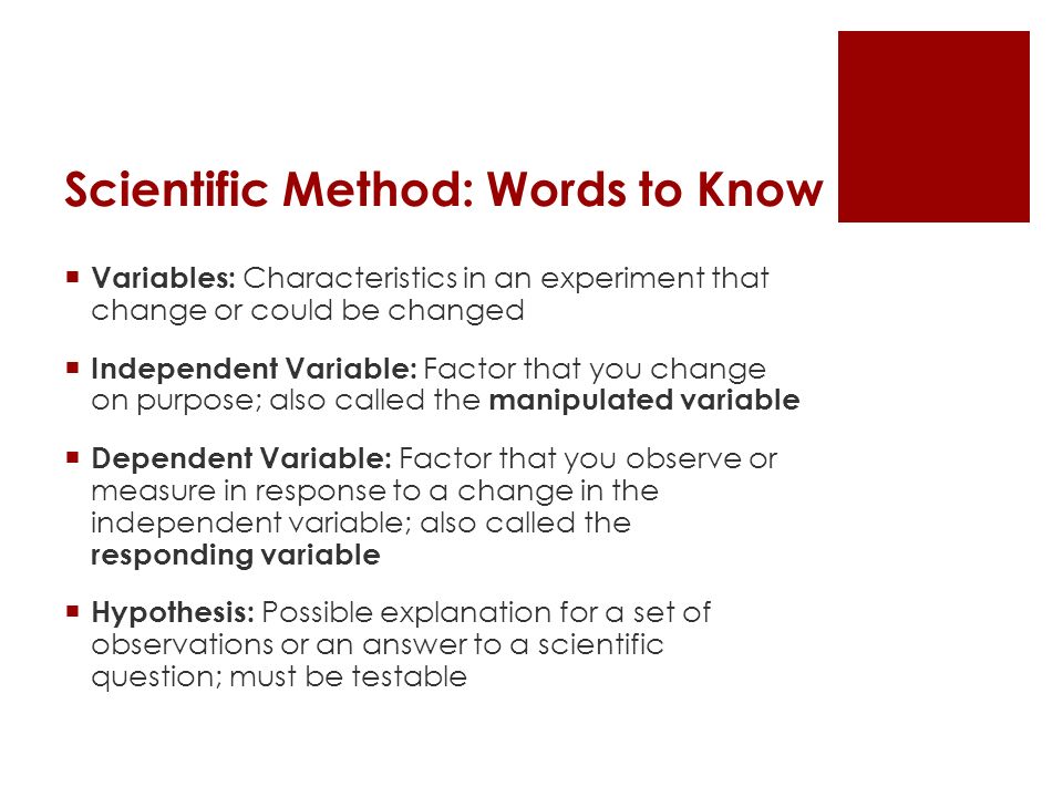 Scientific Method: Words to Know