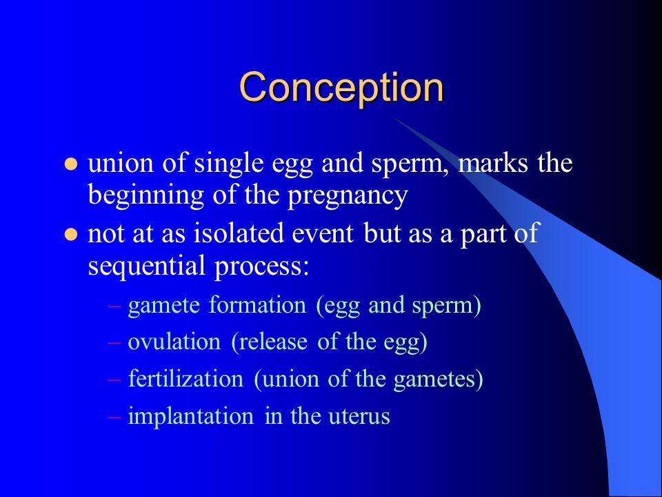 process of conception and implantation