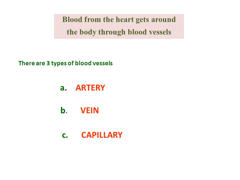 Blood from the heart gets around the body through blood vessels