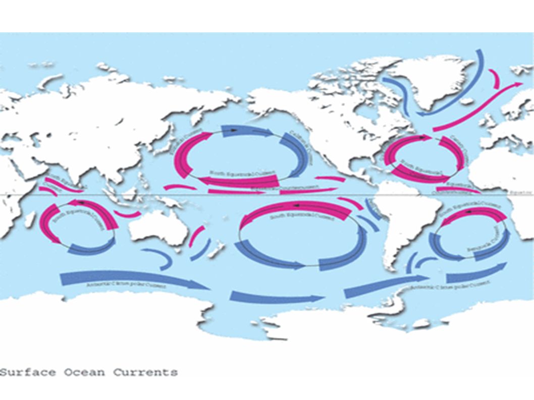 Течение двух пяти минут. Принципиальная схема движения вод мирового океана. Глобальная циркуляция вод мирового океана. Схема течений мирового океана. Циркуляция вод в мировом океане течения.