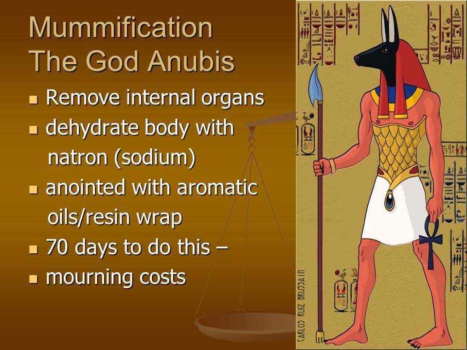 Mummification The God Anubis