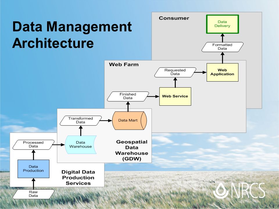 Data Management Architecture