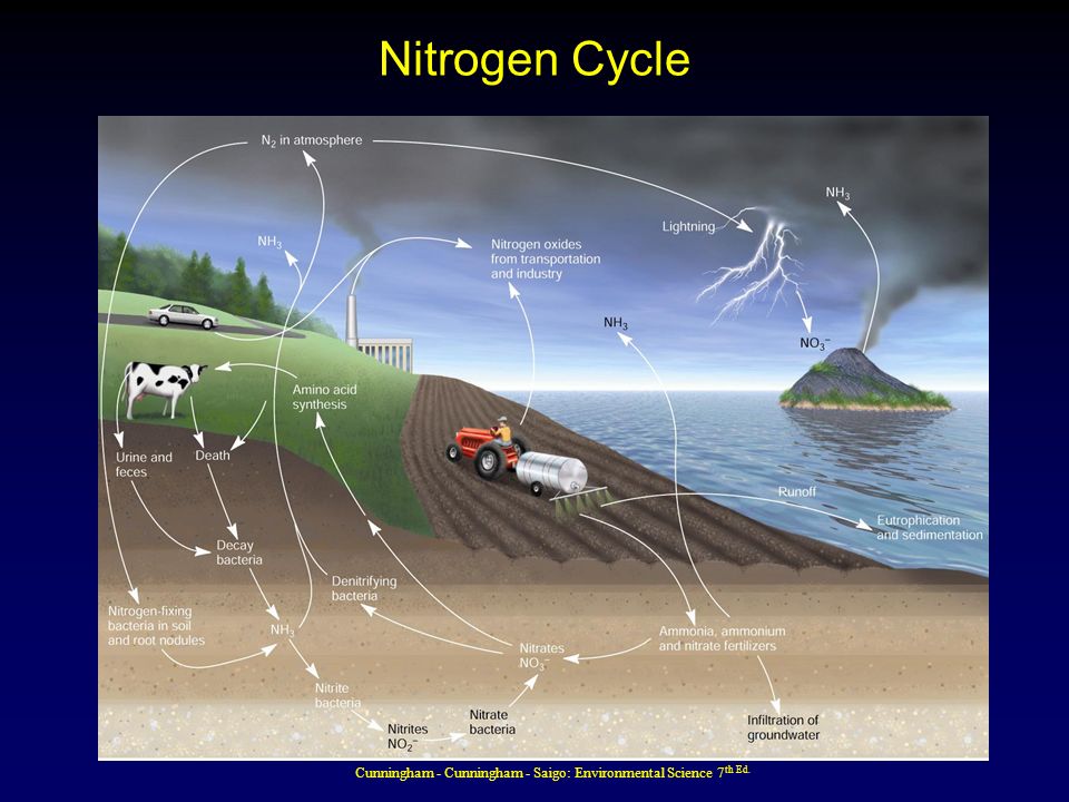 Cunningham - Cunningham - Saigo: Environmental Science 7th Ed.