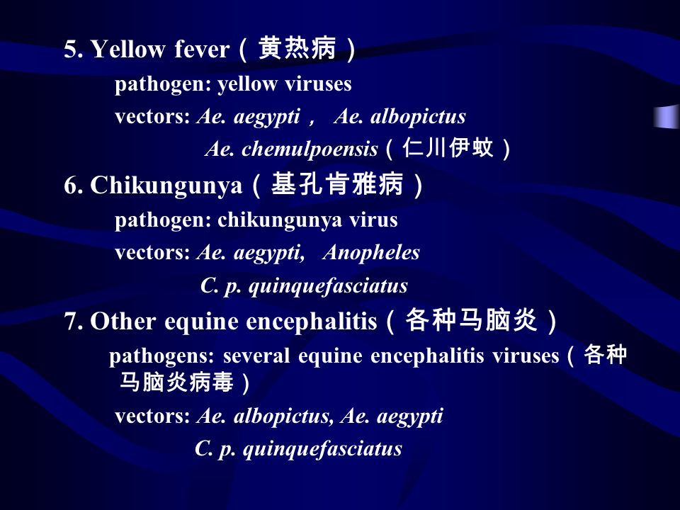 Mosquitoes 蚊 Insecta Diptera Culicidae Important Vector Ppt Download