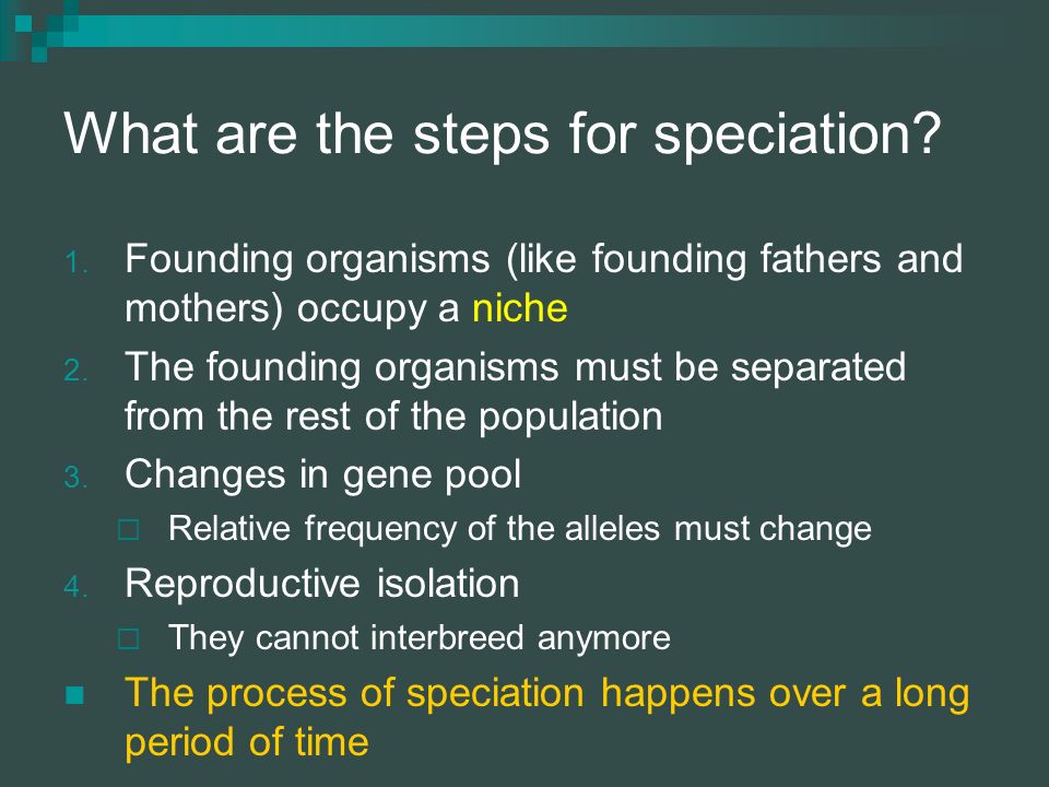 What are the steps for speciation