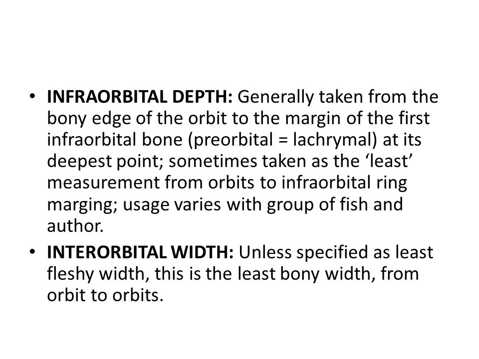 INFRAORBITAL DEPTH: Generally taken from the bony edge of the orbit to the margin of the first infraorbital bone (preorbital = lachrymal) at its deepest point; sometimes taken as the ‘least’ measurement from orbits to infraorbital ring marging; usage varies with group of fish and author.