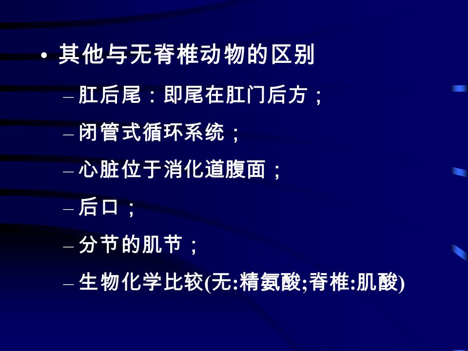 Chordates 脊索动物门 Ppt Download Chordates 脊索动物门 Ppt Download