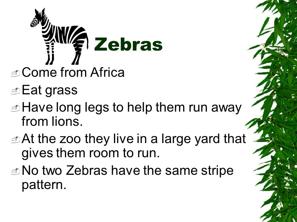 Zoo Animals. - ppt download