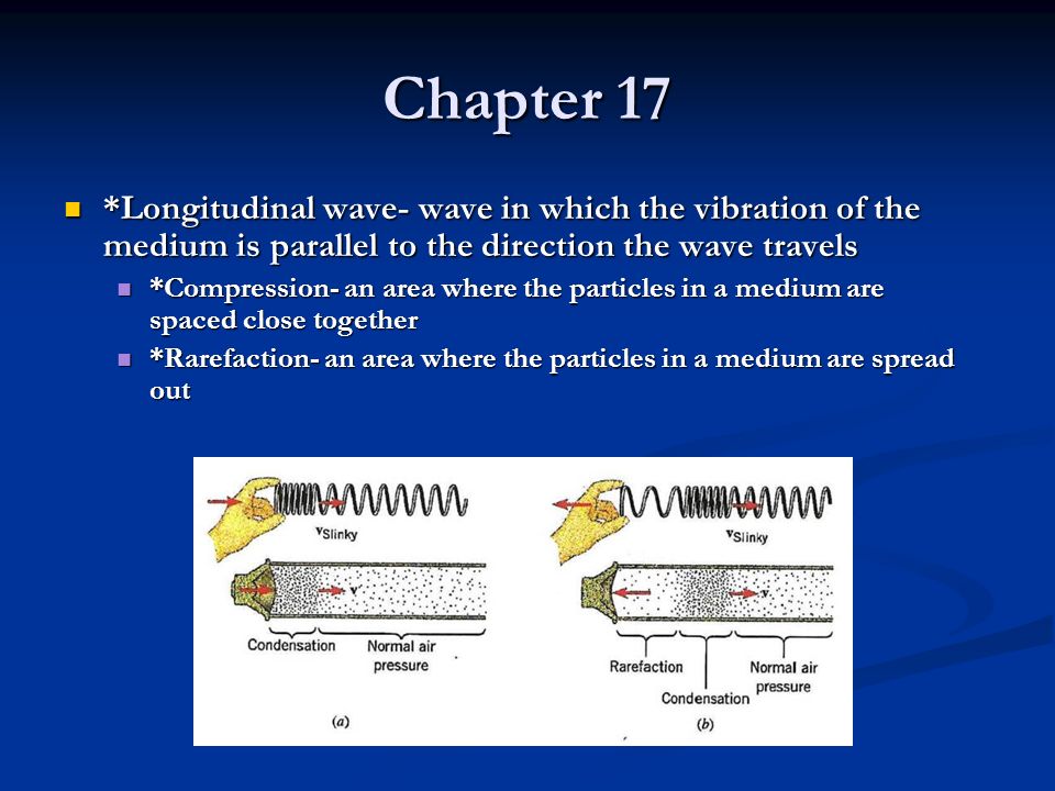 Chapter 17 *Longitudinal wave- wave in which the vibration of the medium is parallel to the direction the wave travels.