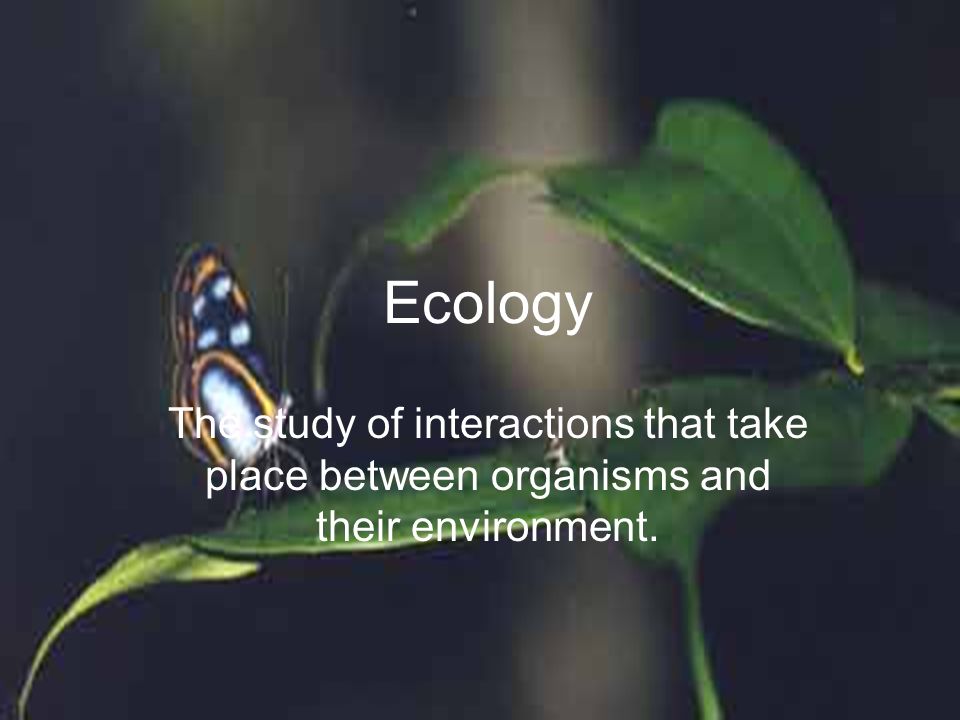 Ecology The study of interactions that take place between organisms and their environment.