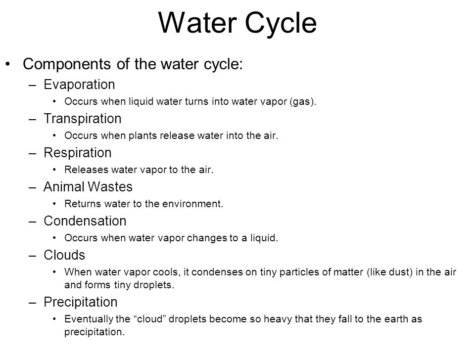 Water Cycle Components of the water cycle: Evaporation Transpiration