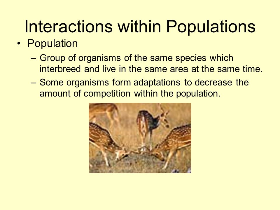 Interactions within Populations