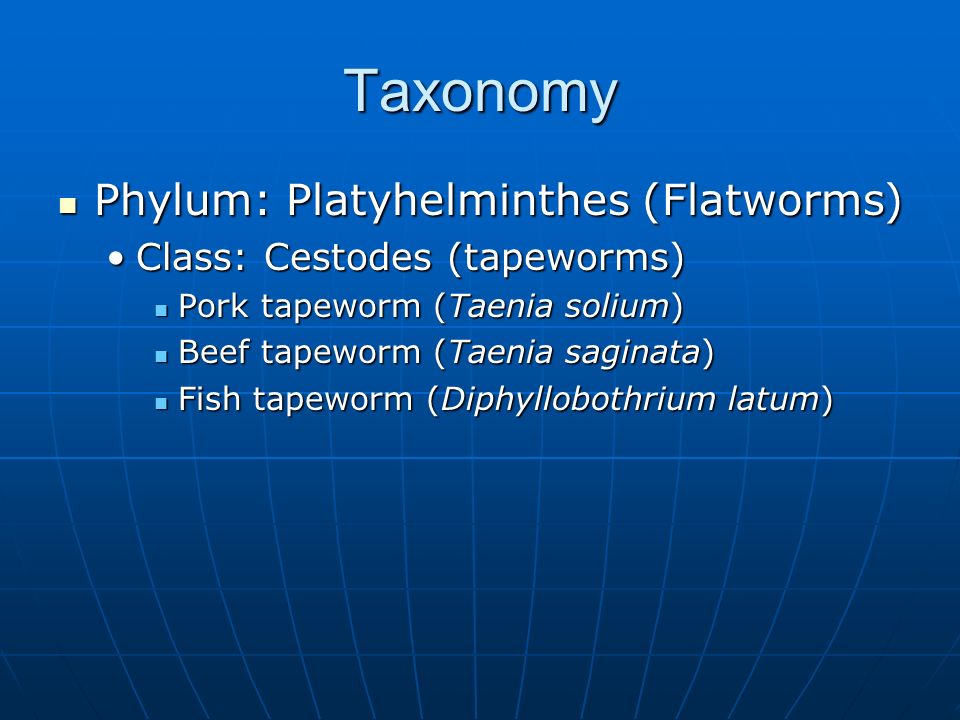 platipus helminths și nematode ppt)