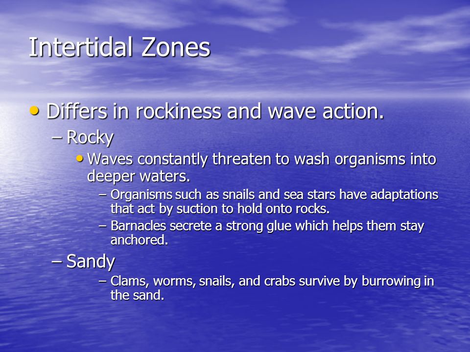 Intertidal Zones Differs in rockiness and wave action. Rocky Sandy