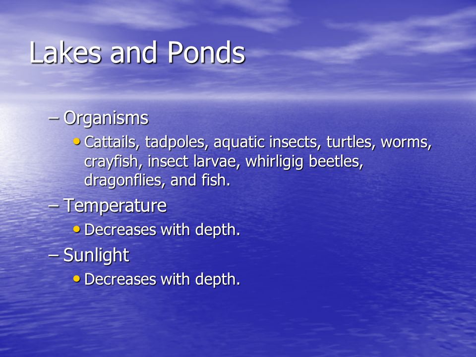 Lakes and Ponds Organisms Temperature Sunlight