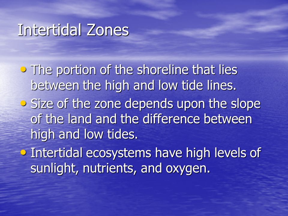 Intertidal Zones The portion of the shoreline that lies between the high and low tide lines.