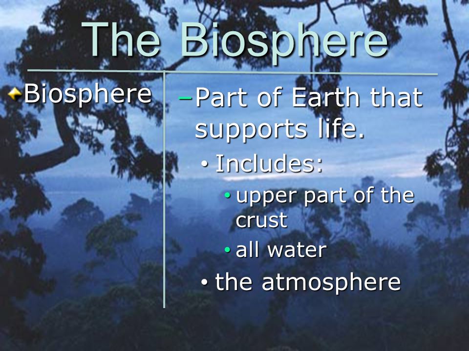 The Biosphere Biosphere Part of Earth that supports life. Includes: