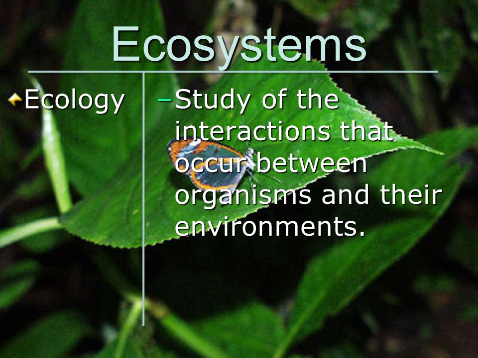 Ecosystems Ecology Study of the interactions that occur between organisms and their environments.