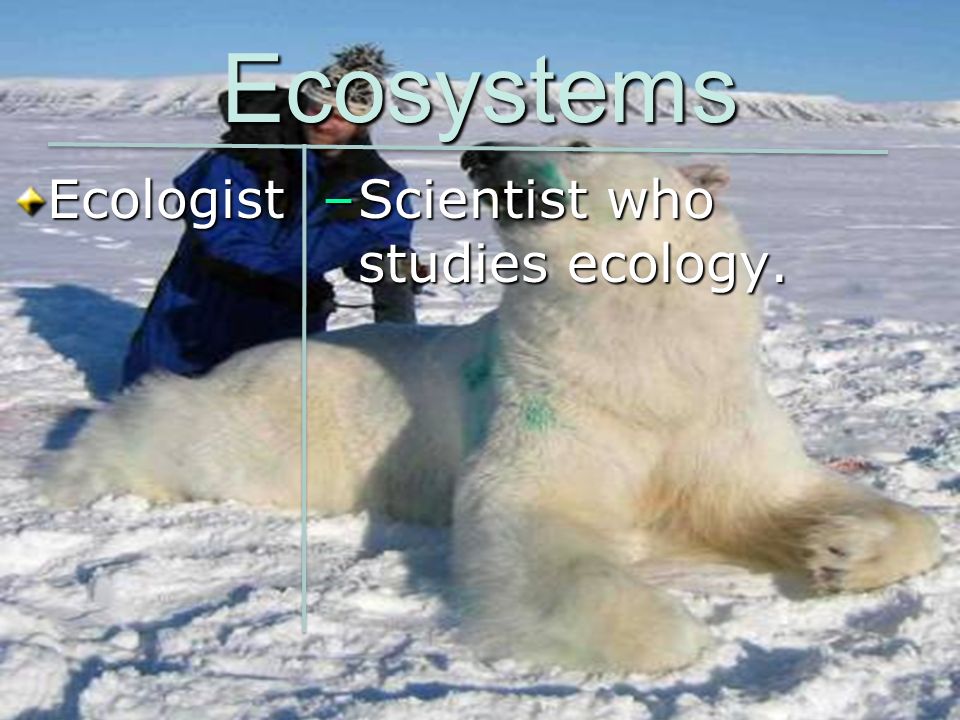 Ecosystems Ecologist Scientist who studies ecology.