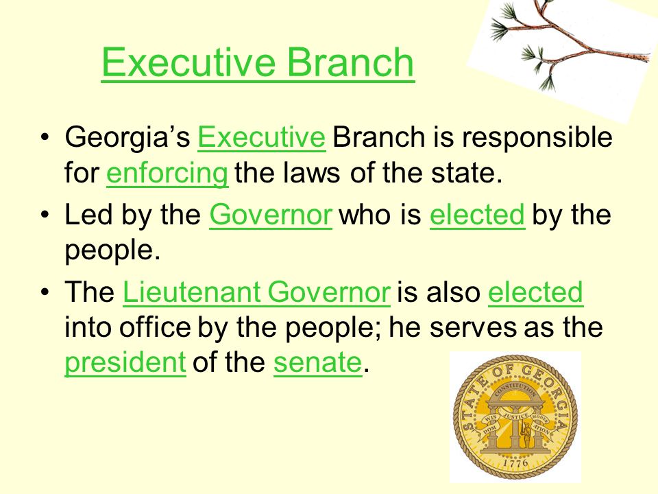 Executive Branch Georgia’s Executive Branch is responsible for enforcing the laws of the state. Led by the Governor who is elected by the people.