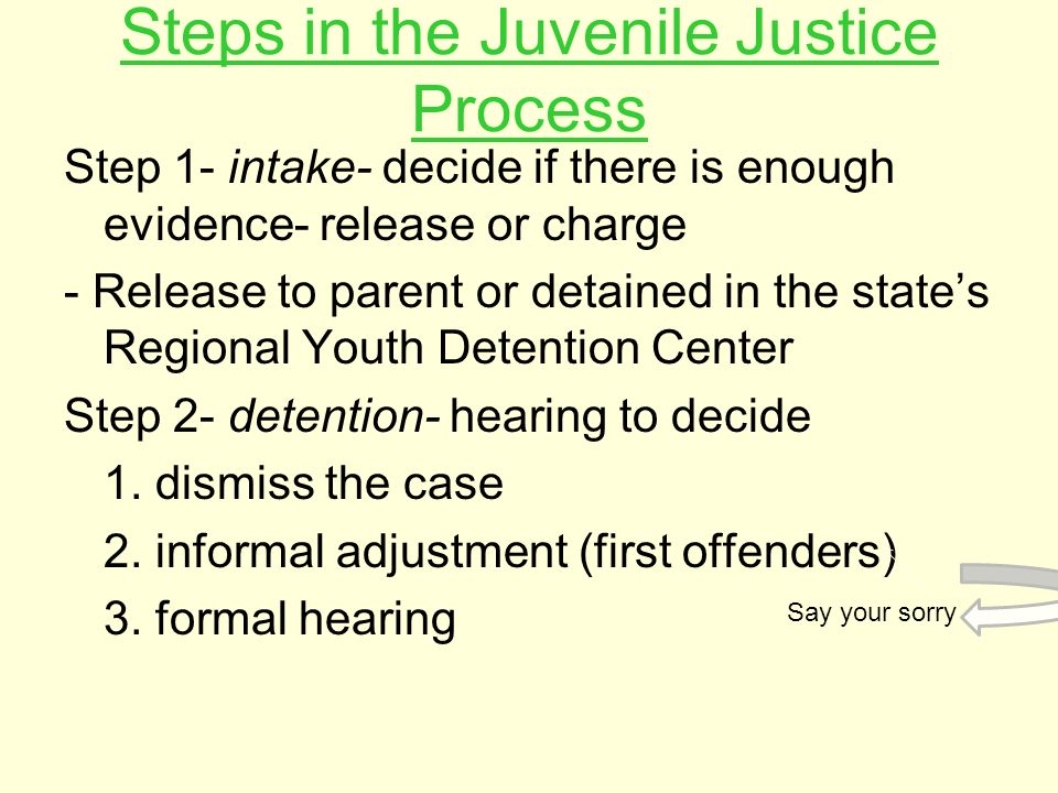 Steps in the Juvenile Justice Process