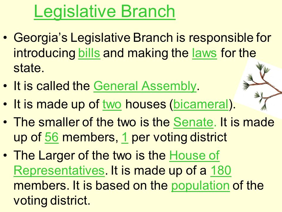Legislative Branch Georgia’s Legislative Branch is responsible for introducing bills and making the laws for the state.