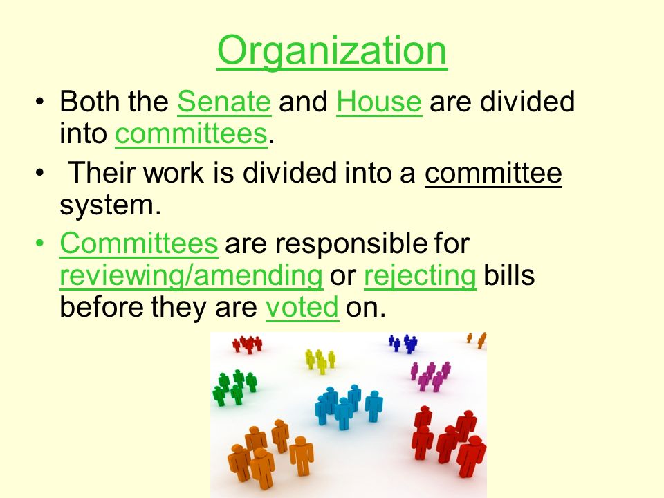 Organization Both the Senate and House are divided into committees.