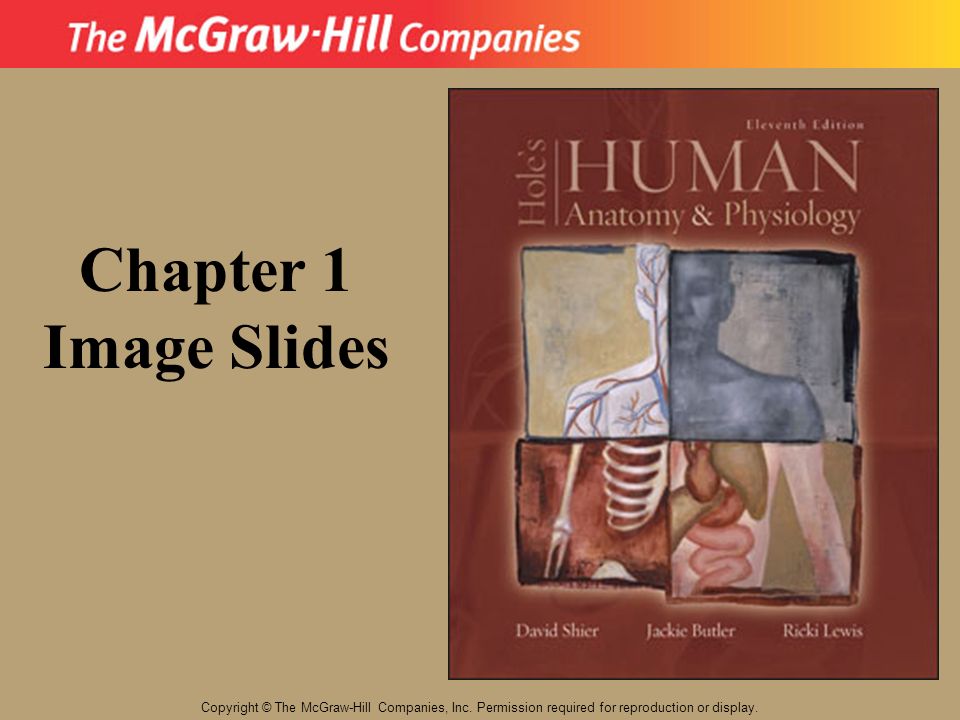 Chapter 1 Image Slides. Copyright © The McGraw-Hill Companies, Inc.