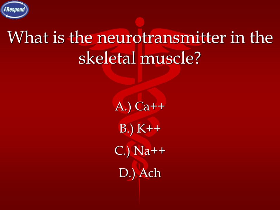 What is the neurotransmitter in the skeletal muscle