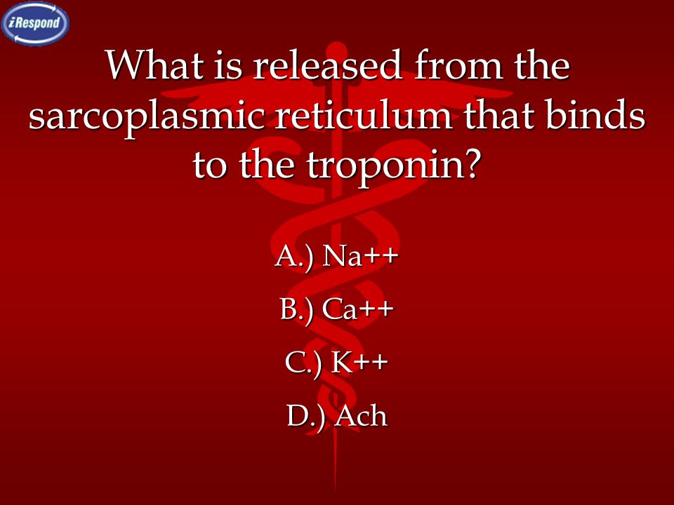 What is released from the sarcoplasmic reticulum that binds to the troponin