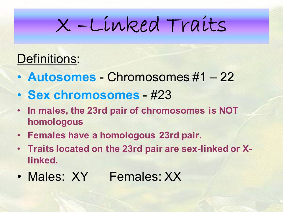 Traits located on the 23rd pair are sex-linked or X-linked. 