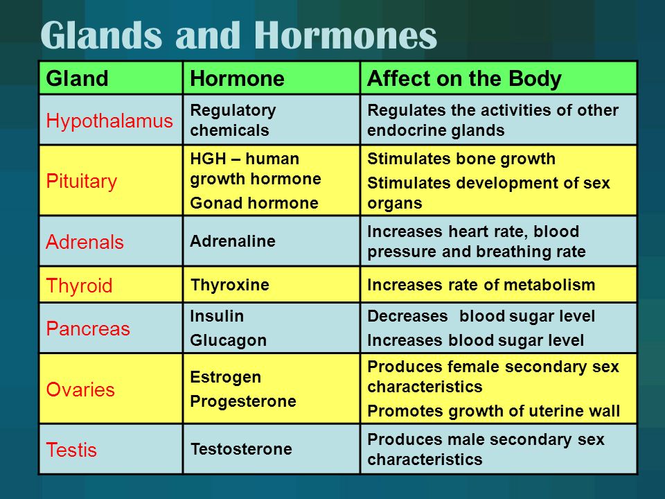 what hormone increases heart rate, blood pressure, and blood sugar